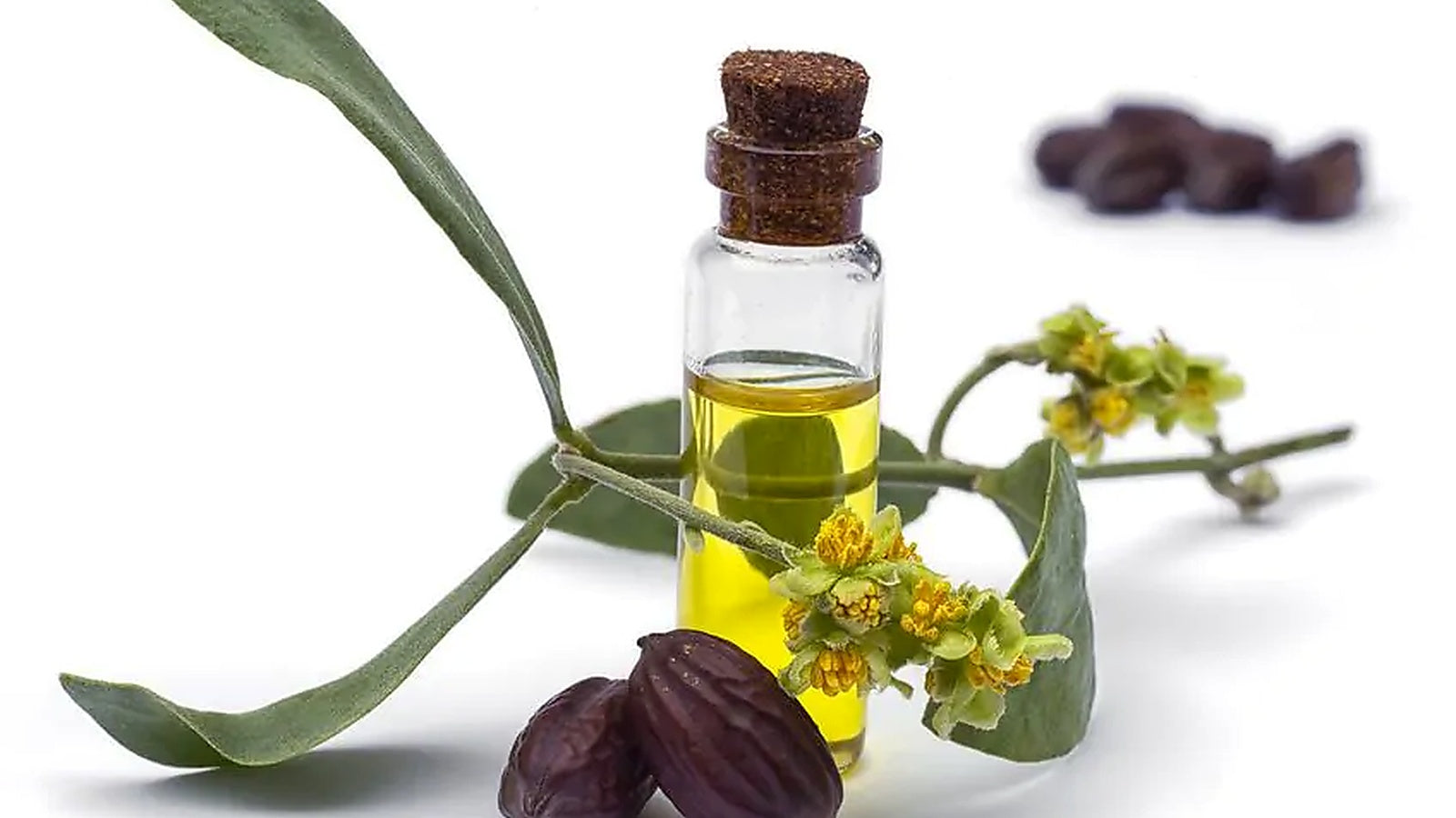 Macadamia Oil