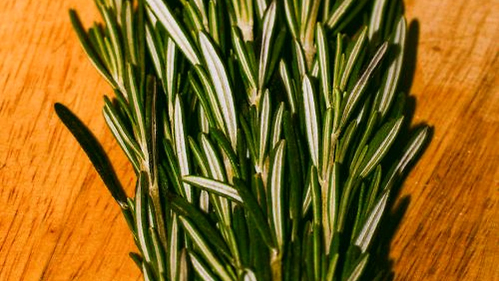 Rosemary Oil