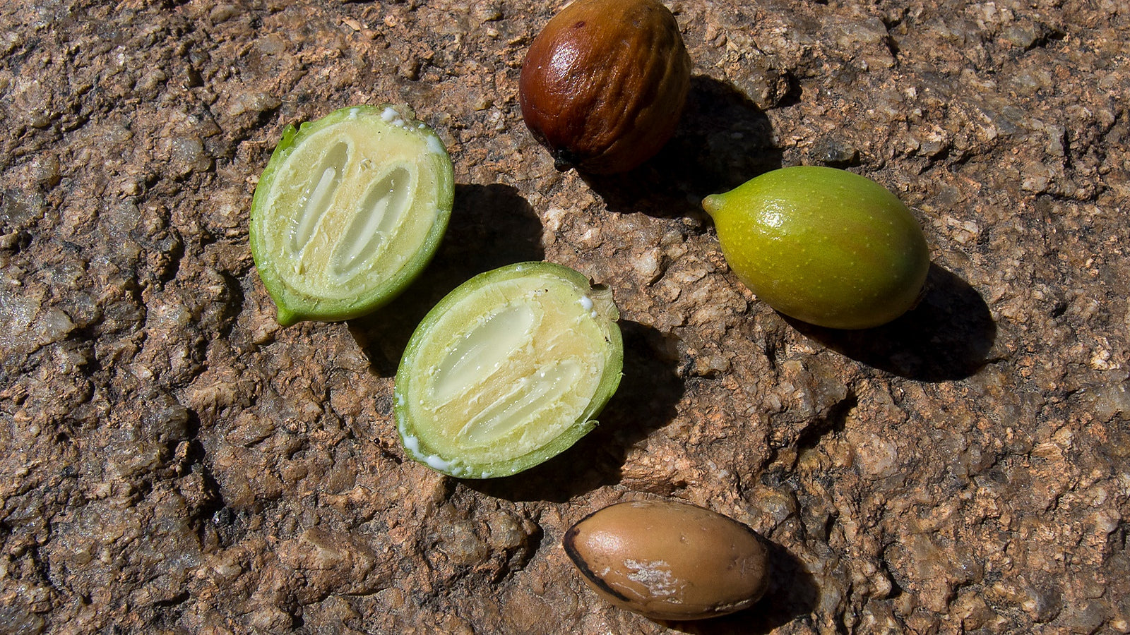 Argan Oil